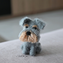 Mini Schnauzer Dog