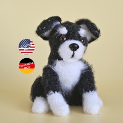 Blacky the little puppy
